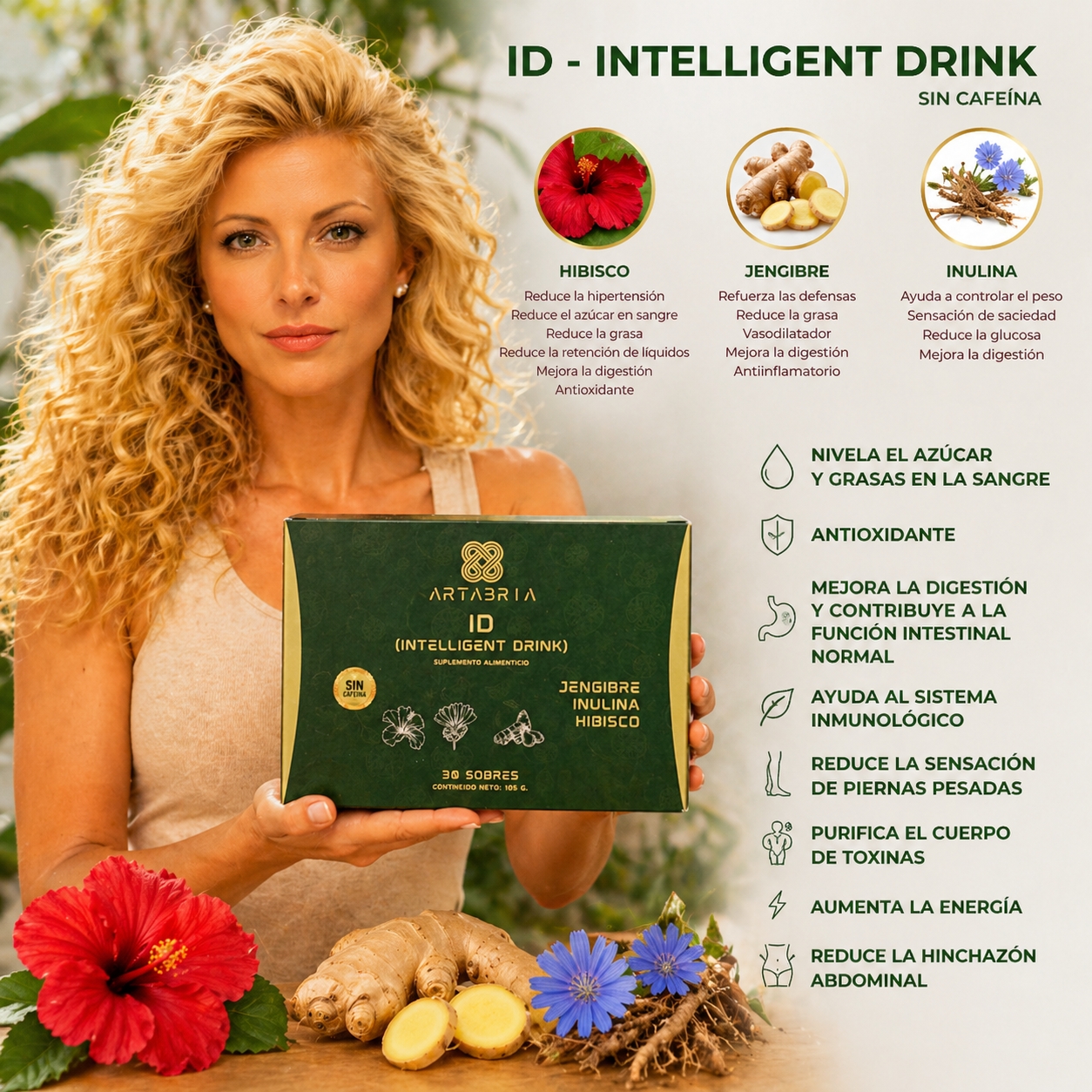 ARTABRIA Intelligent Drink con Jengibre, Inulina e Hibisco – 30 Sobres