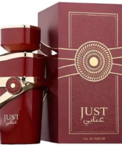 Perfume Just Red Eau de Parfum 100ml